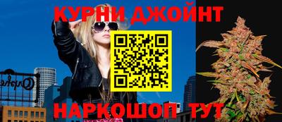 a pvp Гатчина