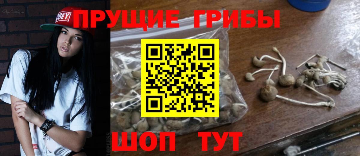 Псилоцибиновые грибы Psilocybine cubensis  Вход с VPN  Орехово-Зуево  Галлюциногенные грибы Cubensis 